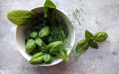 Seasonal eating for survival – Dr. Deepika Rodrigo