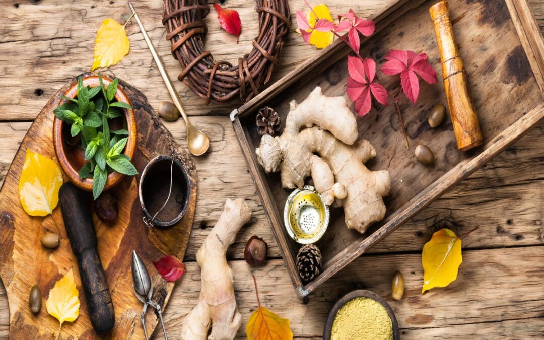 Gastrointestinal Health and Holistic Wellness – The Value of Integrating Ayurvedic Knowledge in Understanding Digestion